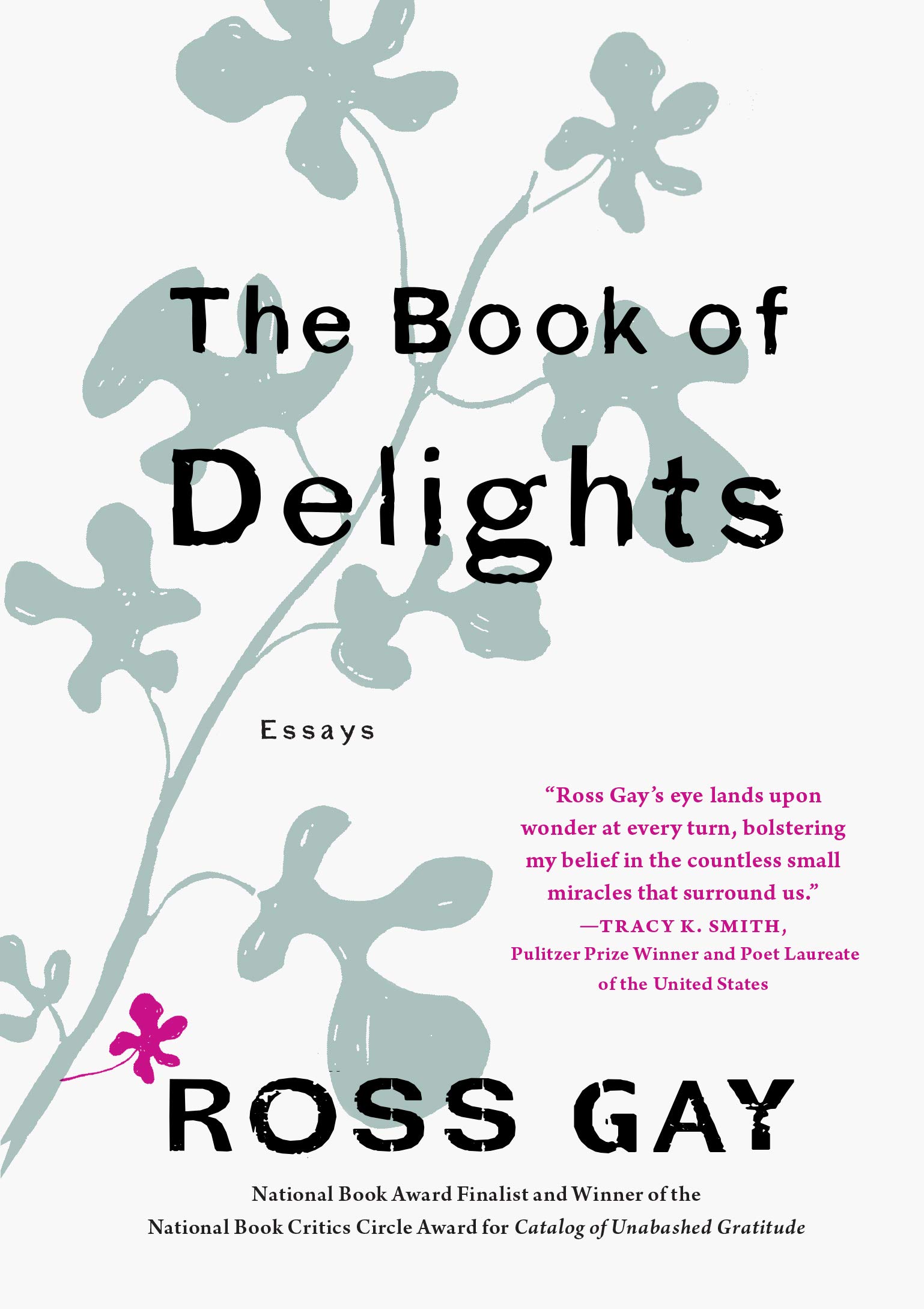 The Book of Delights: Essays