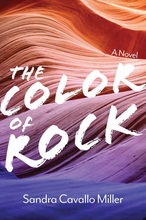 The Color of Rock: A Novel