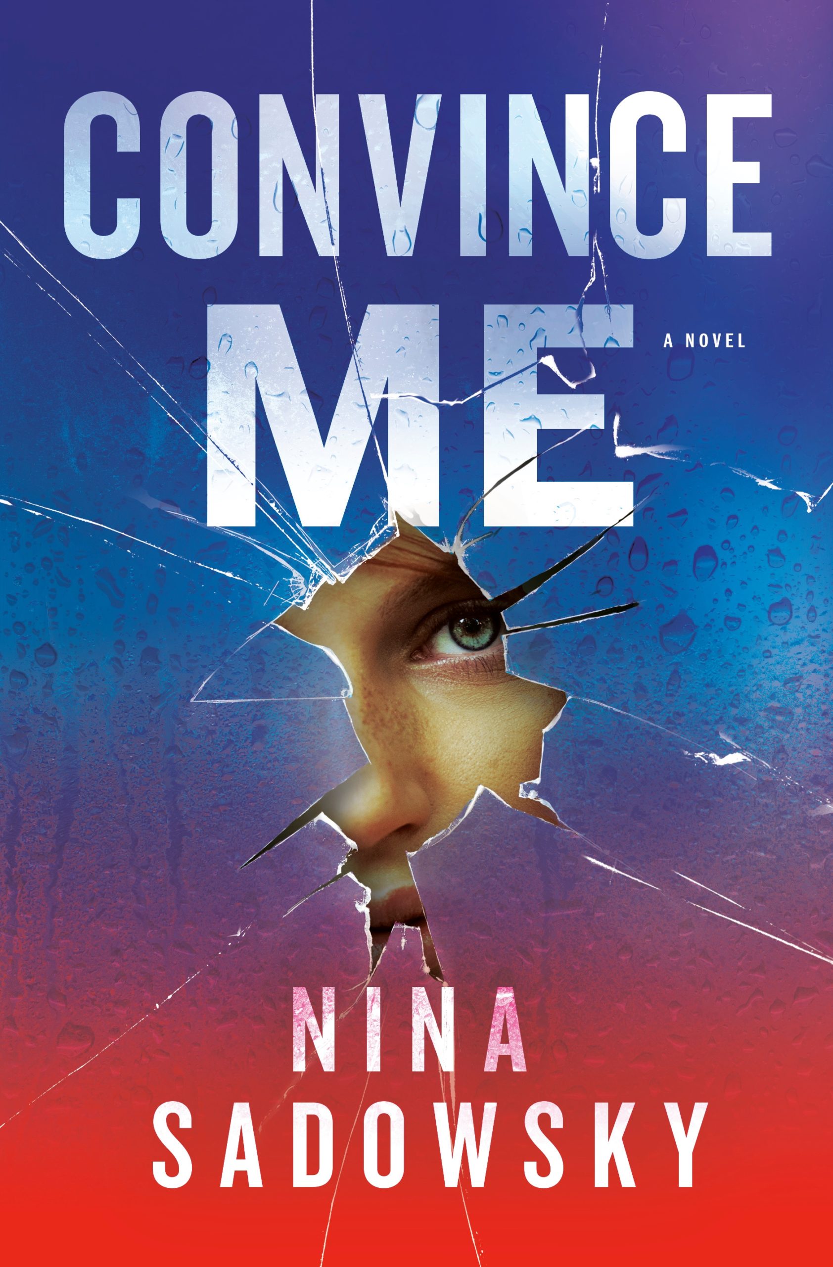 Convince Me: A Novel