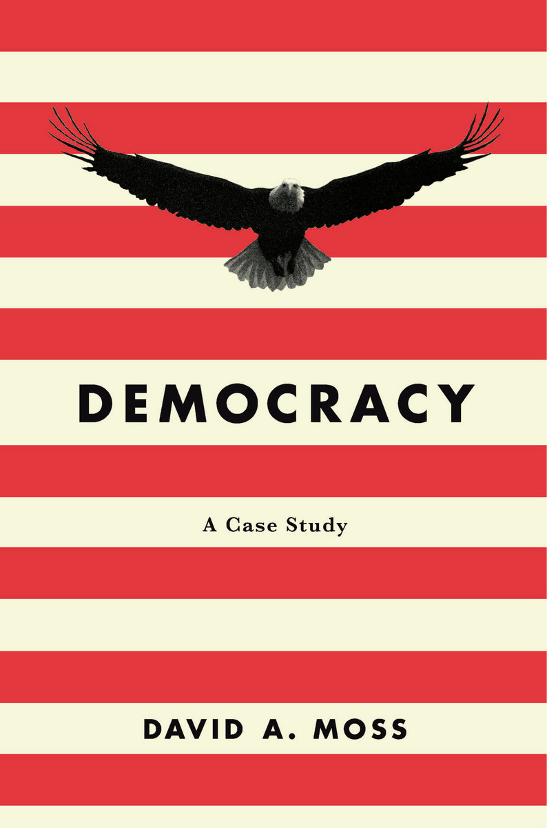 Democracy: A Case Study
