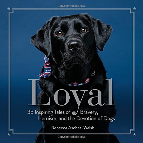 Loyal: 38 Inspiring Tales of Bravery, Heroism, and the Devotion of Dogs