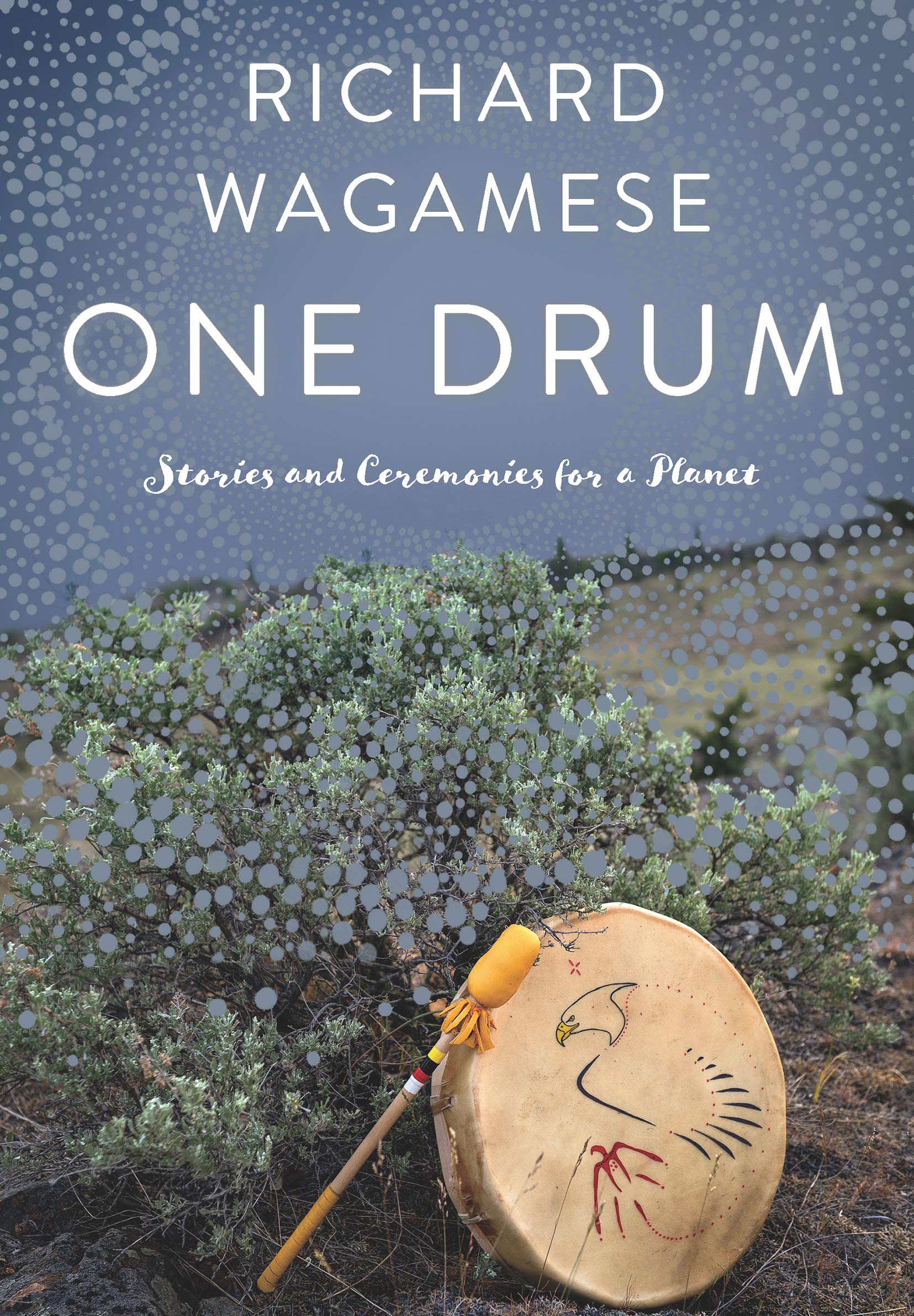 One Drum: Stories and Ceremonies for a Planet